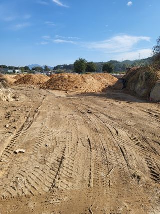 남원여시님의 파 · 영농일지 작성글 사진