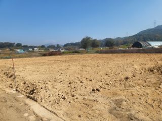 남원여시님의 파 · 영농일지 작성글 사진