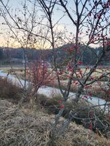 팜모닝 자유주제·자유게시판 게시글 이미지