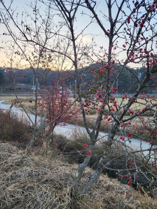남원여시님의 자유주제 · 자유게시판 작성글 사진