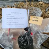 팜모닝 최근 산 물건을 알려주세요!·참여글 게시글 이미지