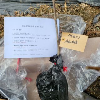 오케바리(옥경종)님의 최근 산 물건을 알려주세요! · 참여글 작성글 사진