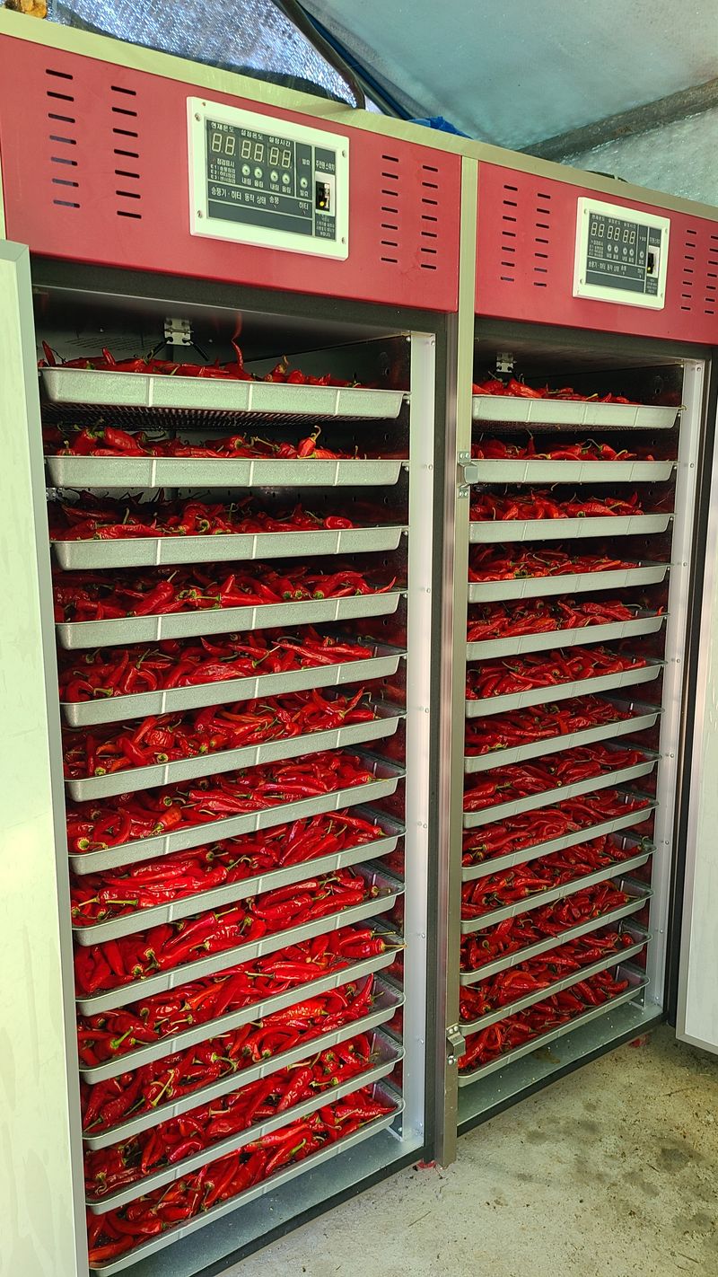 동현님의 장터 판매 상품 [건고추 1근(600g) 판매완료] 첨부 사진