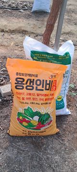 팜모닝 포도·영농일지 게시글 이미지