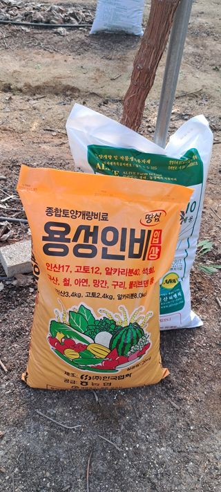 윤세열님의 포도 · 영농일지 작성글 사진