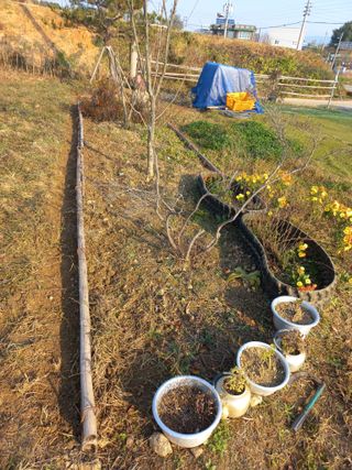 고랑이랑 임수연님의 자유주제 · 자유게시판 작성글 사진