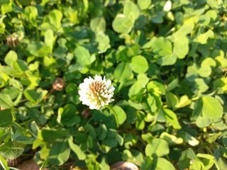 고랑이랑 임수연님의 자유주제 · 자유게시판 작성글 사진