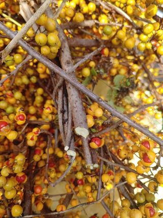 이현상님의 자유주제 · 자유게시판 작성글 사진