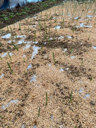 윤종근님의 자유주제 · 자유게시판 작성글 사진