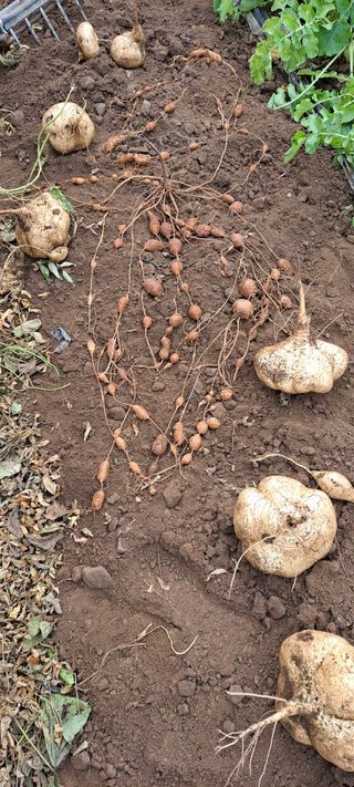 장준재님의 기타작물 · 자유게시판 작성글 사진