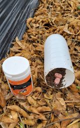 팜모닝 최근 산 물건을 알려주세요!·참여글 게시글 이미지