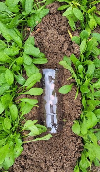 김중언님의 최근 산 물건을 알려주세요! · 참여글 작성글 사진