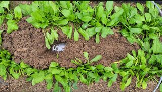 김중언님의 최근 산 물건을 알려주세요! · 참여글 작성글 사진