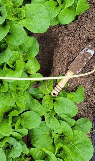 김중언님의 최근 산 물건을 알려주세요! · 참여글 작성글 사진