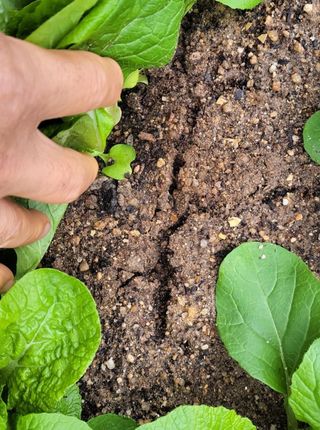 김중언님의 최근 산 물건을 알려주세요! · 참여글 작성글 사진