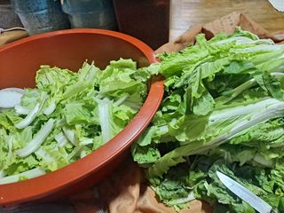 이애숙님의 자유주제 · 자유게시판 작성글 사진