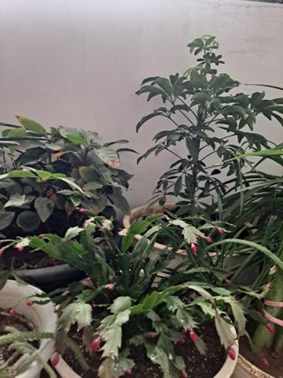 이애숙님의 자유주제 · 자유게시판 작성글 사진