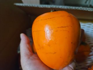 시금치15102님의 최근 산 물건을 알려주세요! · 참여글 작성글 사진