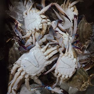 knlee2222님의 최근 산 물건을 알려주세요! · 참여글 작성글 사진