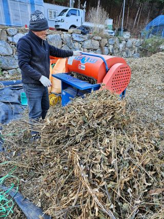 스마일님의 콩 · 자유게시판 작성글 사진