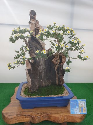 비취바다님의 최근 산 물건을 알려주세요! · 참여글 작성글 사진