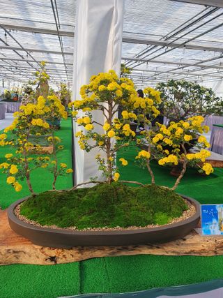 비취바다님의 최근 산 물건을 알려주세요! · 참여글 작성글 사진