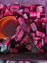 팜모닝 자유주제·자유게시판 게시글 이미지