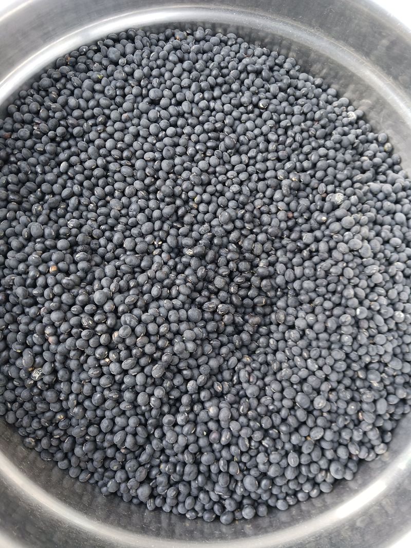 장터 상품 [서리태 1되] 썸네일