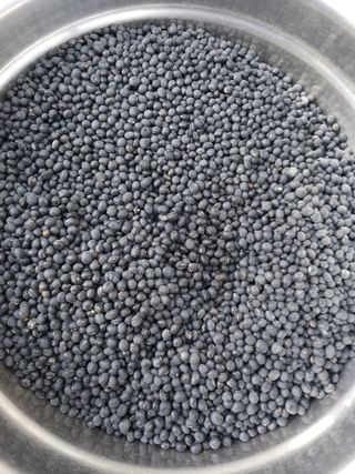 산청농부님의 작성글 사진