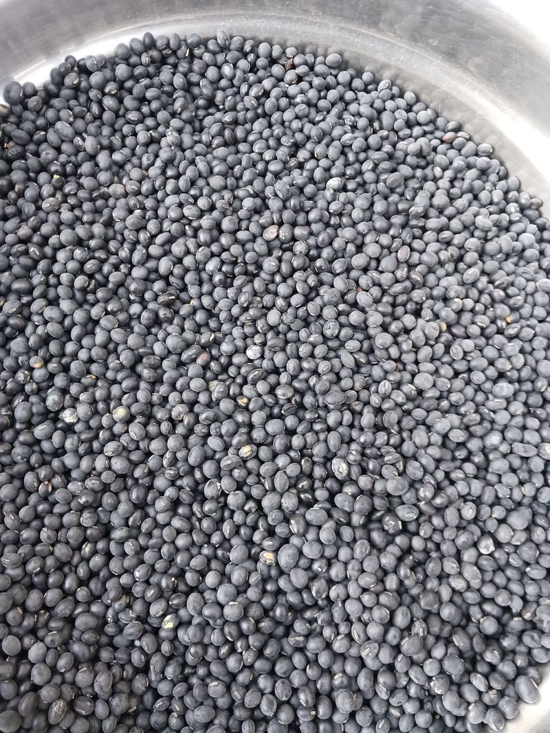 산청농부님의 장터 판매 상품 [서리태 1되] 첨부 사진