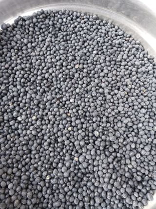 산청농부님의 작성글 사진