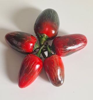 이애숙님의 최근 산 물건을 알려주세요! · 참여글 작성글 사진