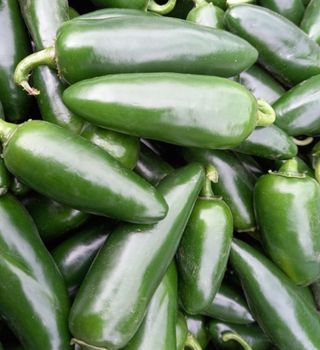 이애숙님의 최근 산 물건을 알려주세요! · 참여글 작성글 사진