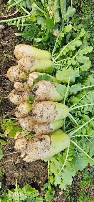 헤라네(김정현)님의 자유주제 · 자유게시판 작성글 사진