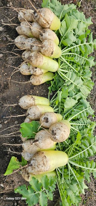 헤라네(김정현)님의 자유주제 · 자유게시판 작성글 사진