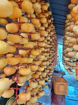 팜모닝 감·자유게시판 게시글 이미지