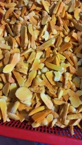 팜모닝 11월 내 작물 자랑하기·참여글 게시글 이미지