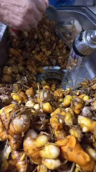 나금옥 (편안이)님의 11월 내 작물 자랑하기 · 참여글 작성글 사진