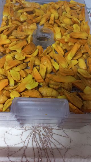 나금옥 (편안이)님의 11월 내 작물 자랑하기 · 참여글 작성글 사진