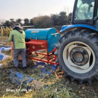 엄득용님의 콩 · 자유게시판 작성글 사진