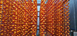 백용기님의 자유주제 · 자유게시판 작성글 사진