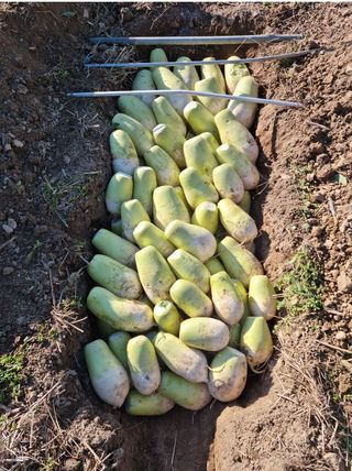 황지유님의 겨울 대비 어떻게 하셨나요 · 참여글 작성글 사진