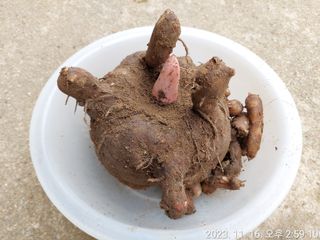 유병욱님의 겨울 대비 어떻게 하셨나요 · 참여글 작성글 사진