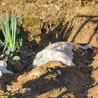 장유경만점자님의 겨울 대비 어떻게 하셨나요 · 참여글 작성글 사진