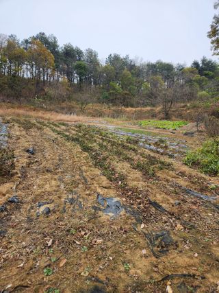 고영희님의 겨울 대비 어떻게 하셨나요 · 참여글 작성글 사진