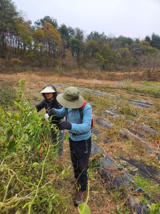 고영희님의 겨울 대비 어떻게 하셨나요 · 참여글 작성글 사진