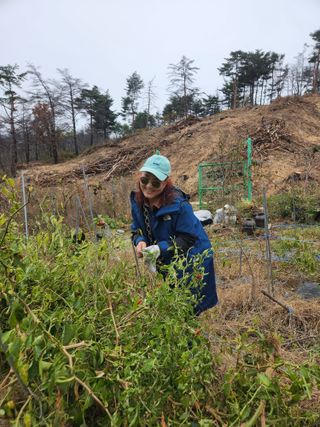 고영희님의 겨울 대비 어떻게 하셨나요 · 참여글 작성글 사진