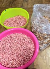 팜모닝 자유주제·자유게시판 게시글 이미지