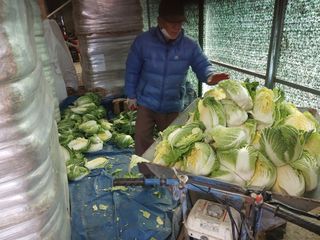 알 수 없음님의 우리동네 · 동네수다 작성글 사진