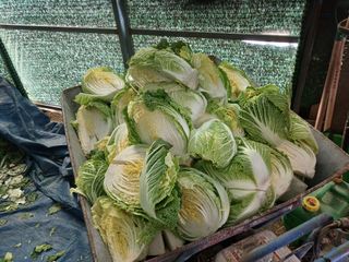 알 수 없음님의 우리동네 · 동네수다 작성글 사진